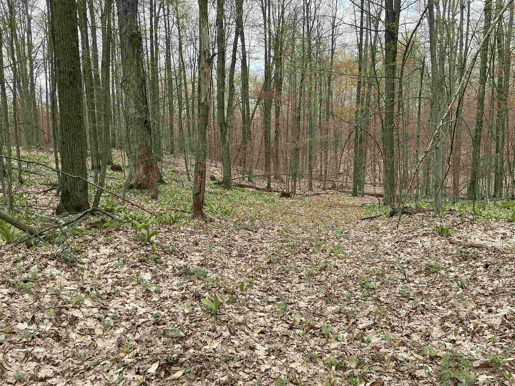 20 Acres Zimmerman Road Clearwater Township MI 49676