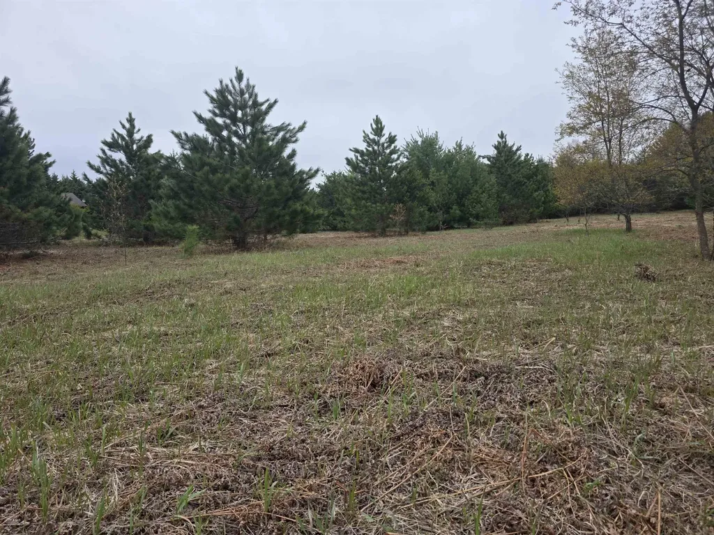56 SE Blue Heron Drive Orange Township MI 49646