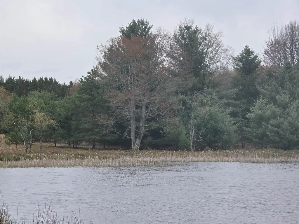 56 SE Blue Heron Drive Orange Township MI 49646