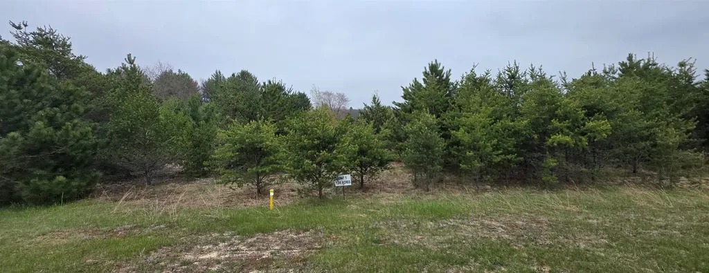 56 SE Blue Heron Drive Orange Township MI 49646