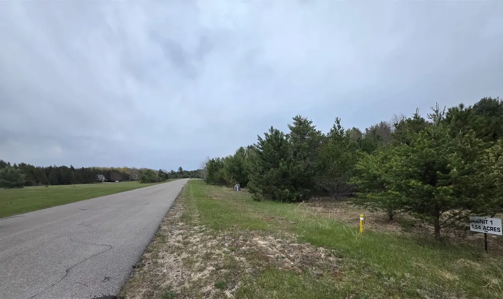56 SE Blue Heron Drive Orange Township MI 49646