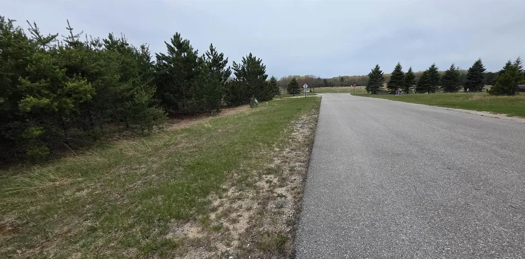 56 SE Blue Heron Drive Orange Township MI 49646