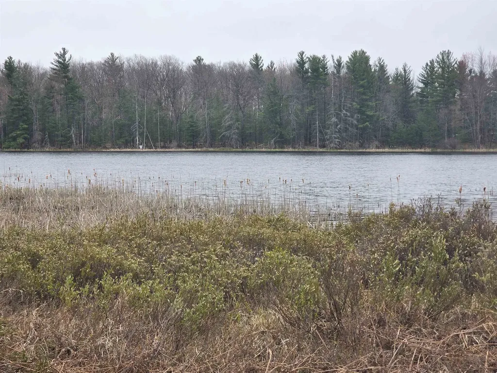 56 SE Blue Heron Drive Orange Township MI 49646