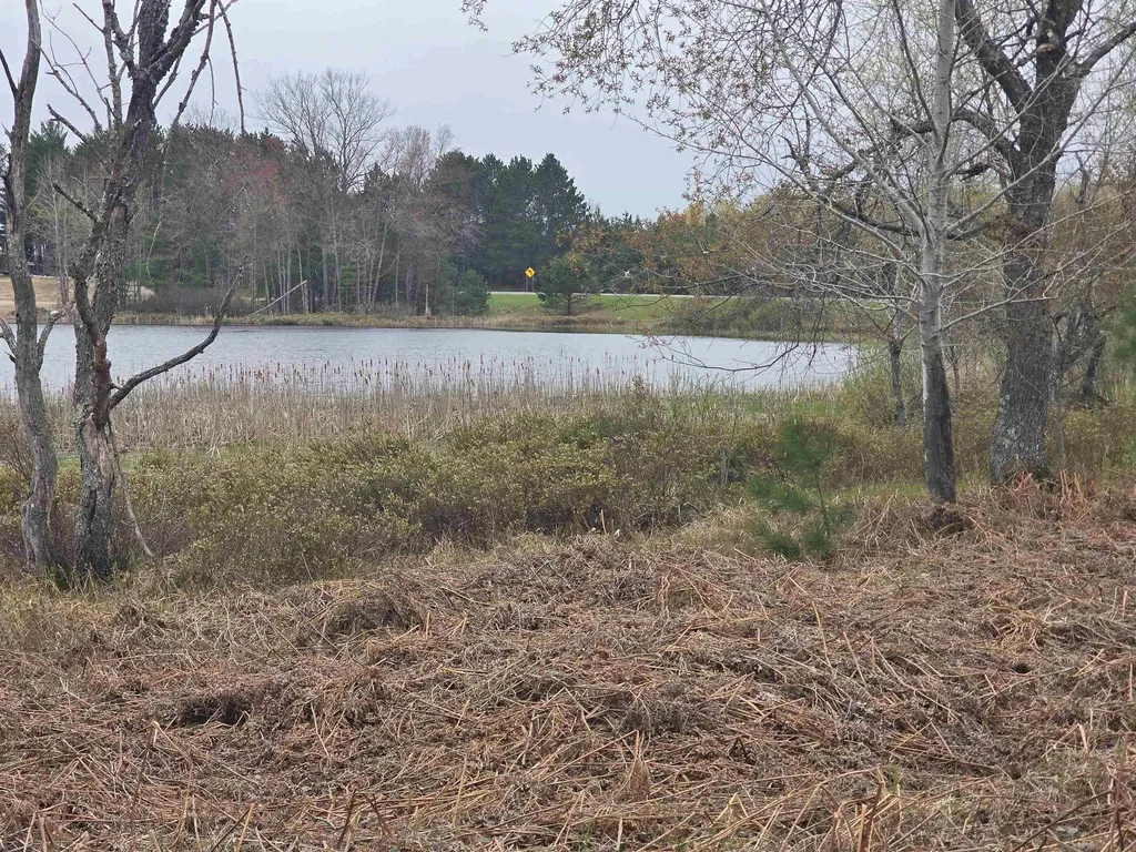 56 SE Blue Heron Drive Orange Township MI 49646