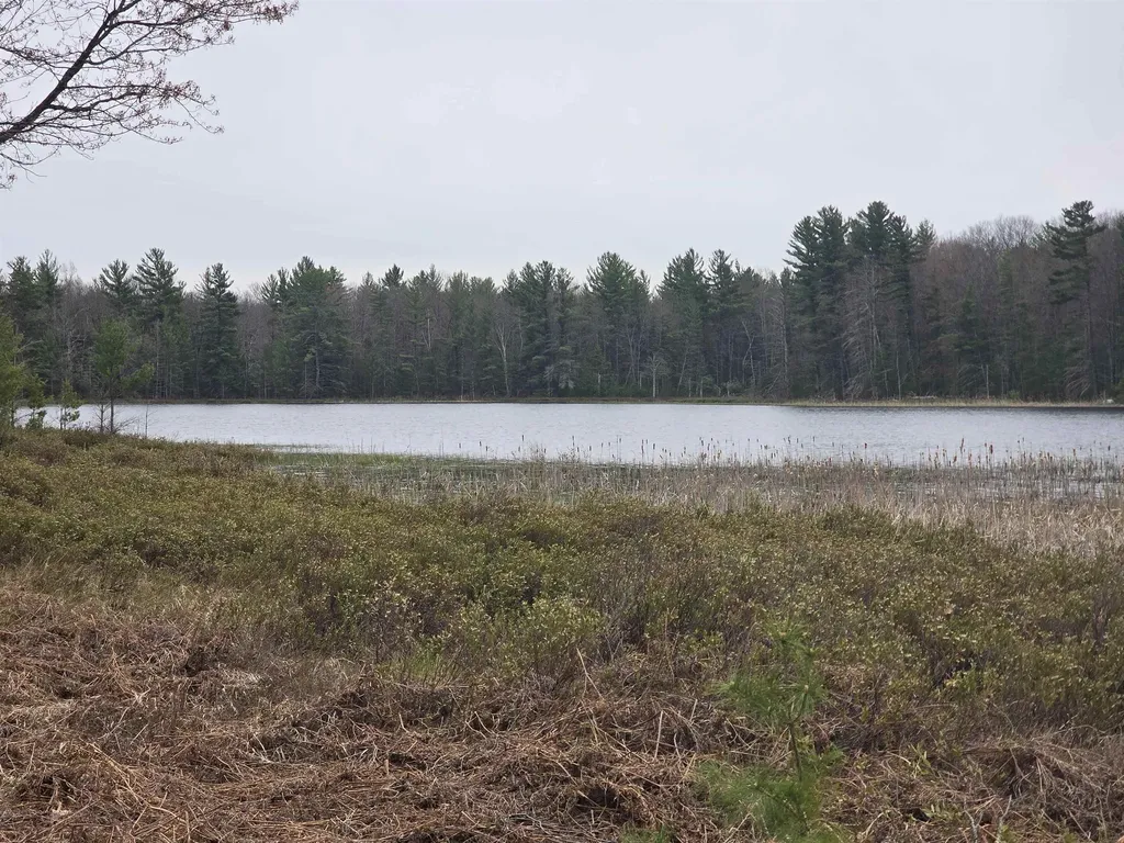 56 SE Blue Heron Drive Orange Township MI 49646