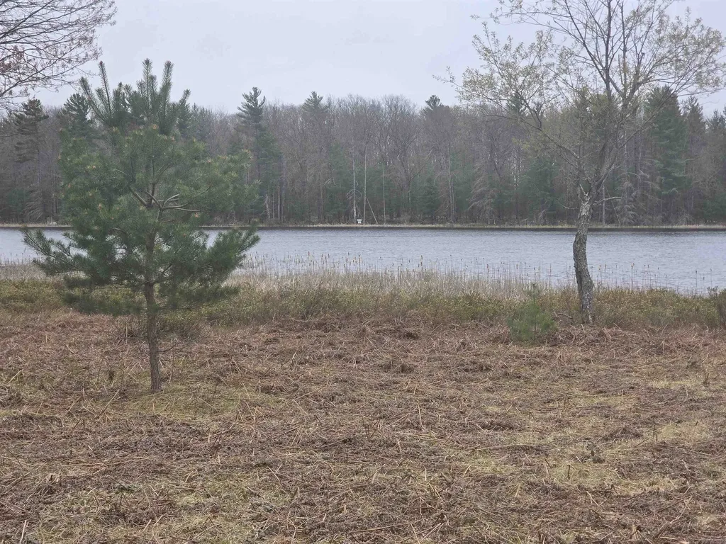 56 SE Blue Heron Drive Orange Township MI 49646