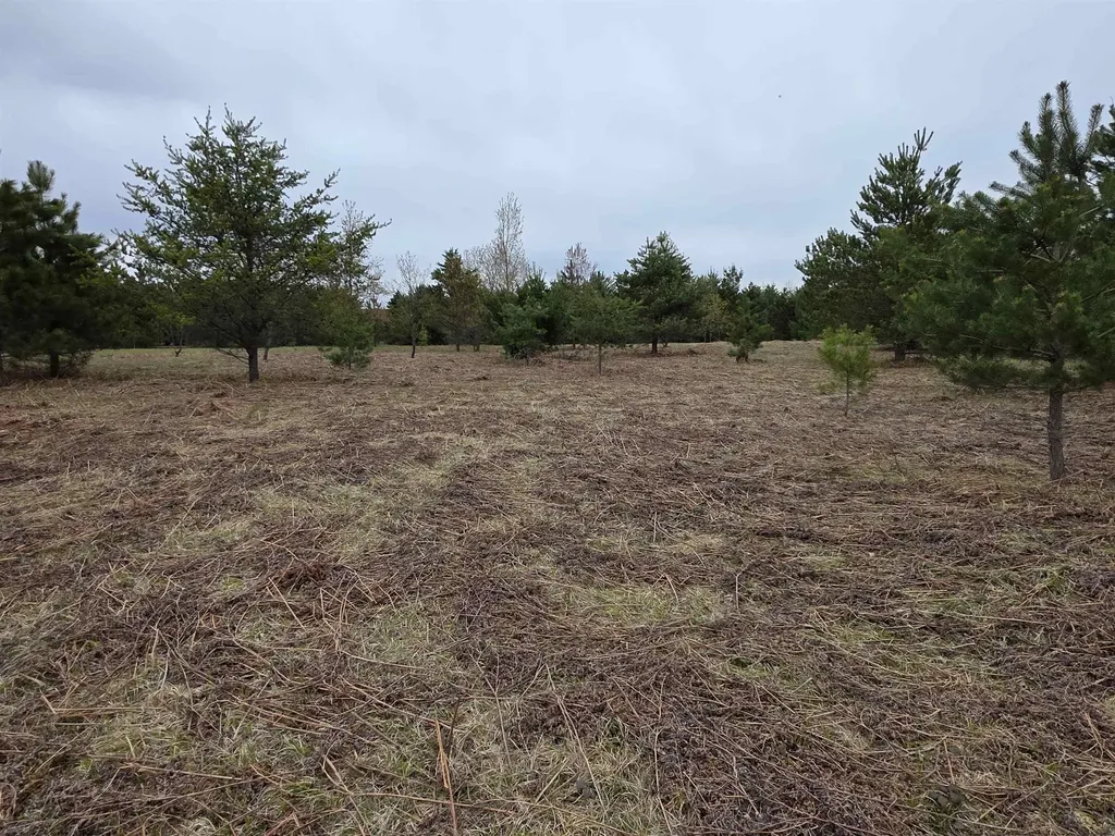56 SE Blue Heron Drive Orange Township MI 49646