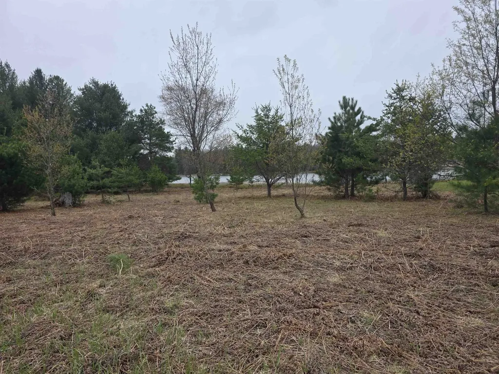 56 SE Blue Heron Drive Orange Township MI 49646