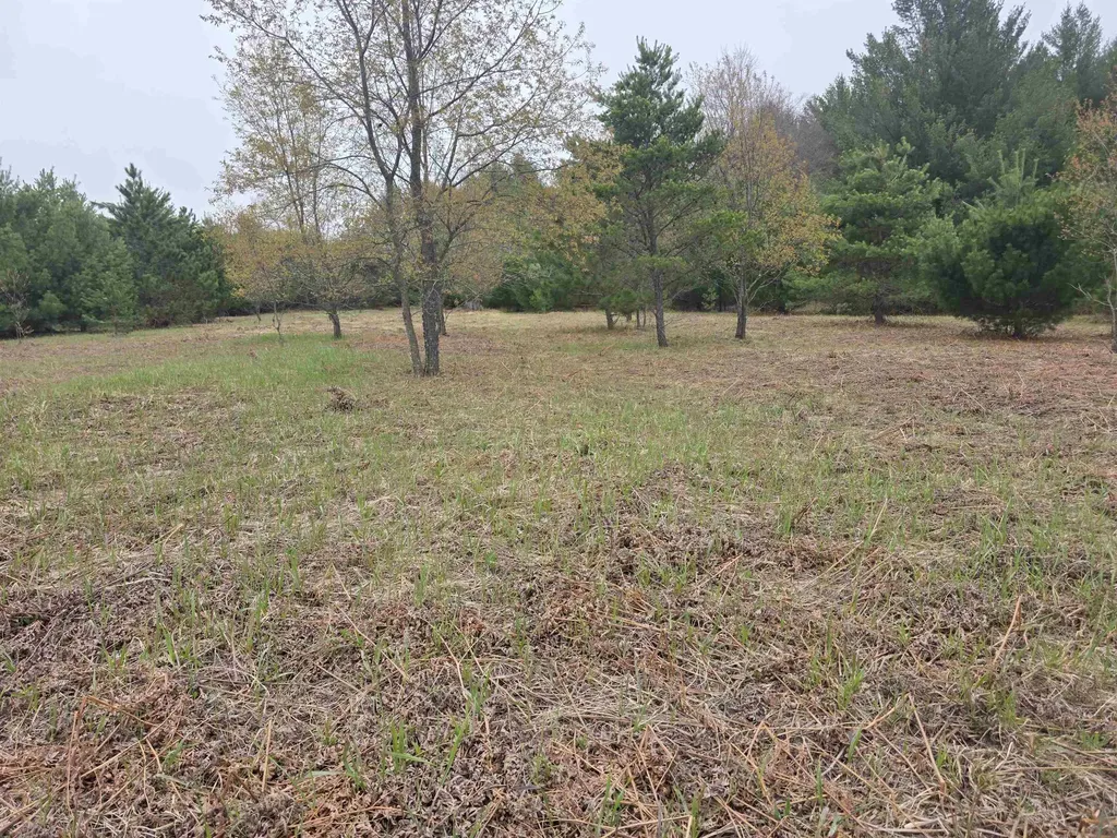 56 SE Blue Heron Drive Orange Township MI 49646