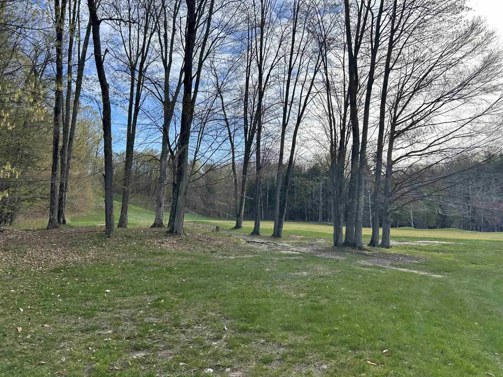 Lot 69 Legend Trail Custer Township MI 49615