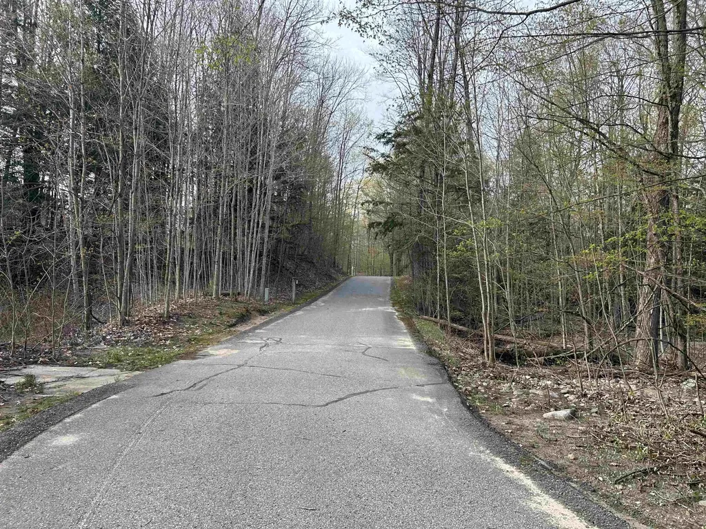 Lot 69 Legend Trail Custer Township MI 49615