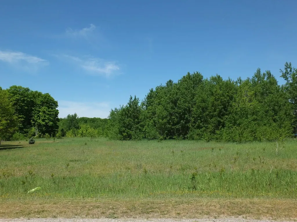9441 Kingsfield Drive Mayfield Township MI 49649