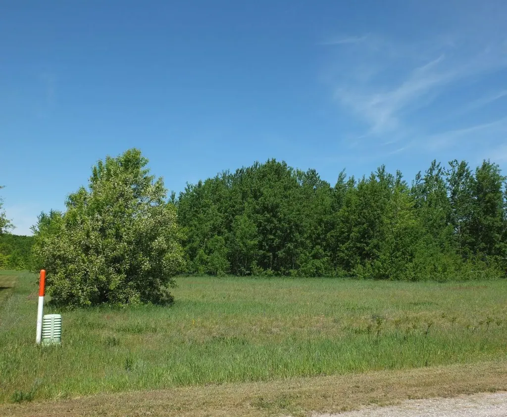 9441 Kingsfield Drive Mayfield Township MI 49649