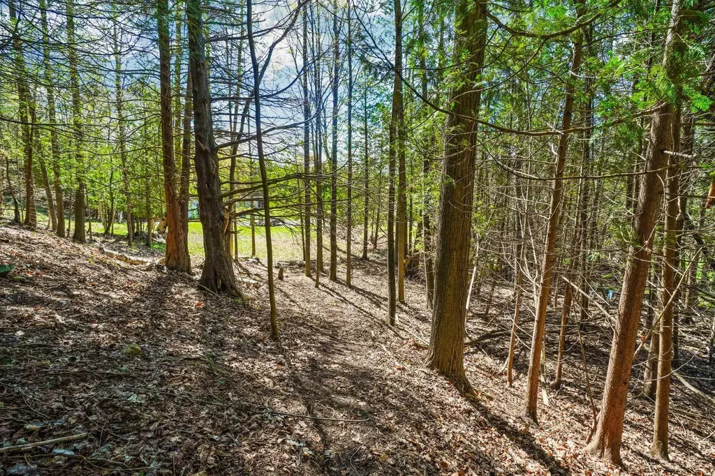 00 Lynn Street Charlevoix Township MI 49712