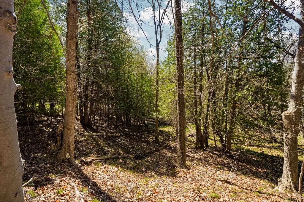 00 Lynn Street Charlevoix Township MI 49712