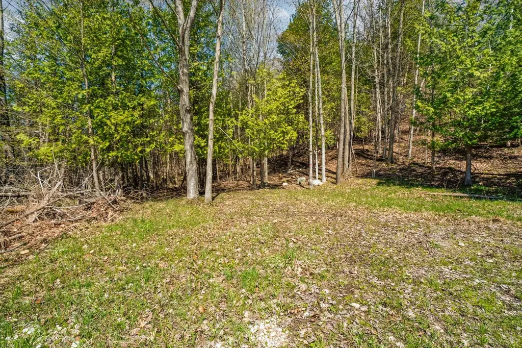 00 Lynn Street Charlevoix Township MI 49712