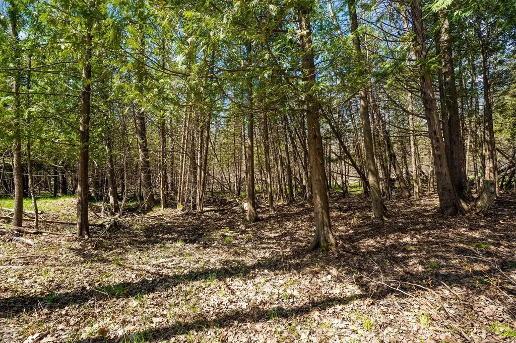 00 Lynn Street Charlevoix Township MI 49712