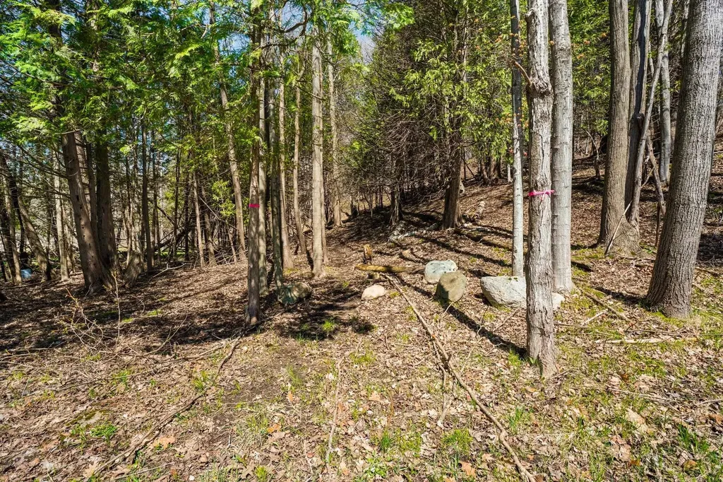 00 Lynn Street Charlevoix Township MI 49712