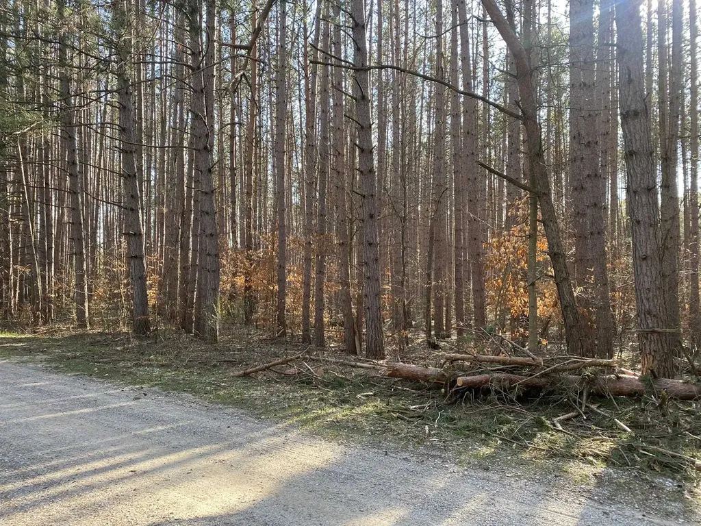 Deer Run Drive Slagle Township MI 49601