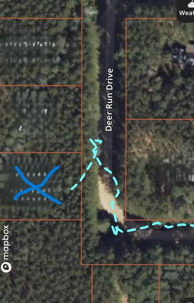 Deer Run Drive Slagle Township MI 49601