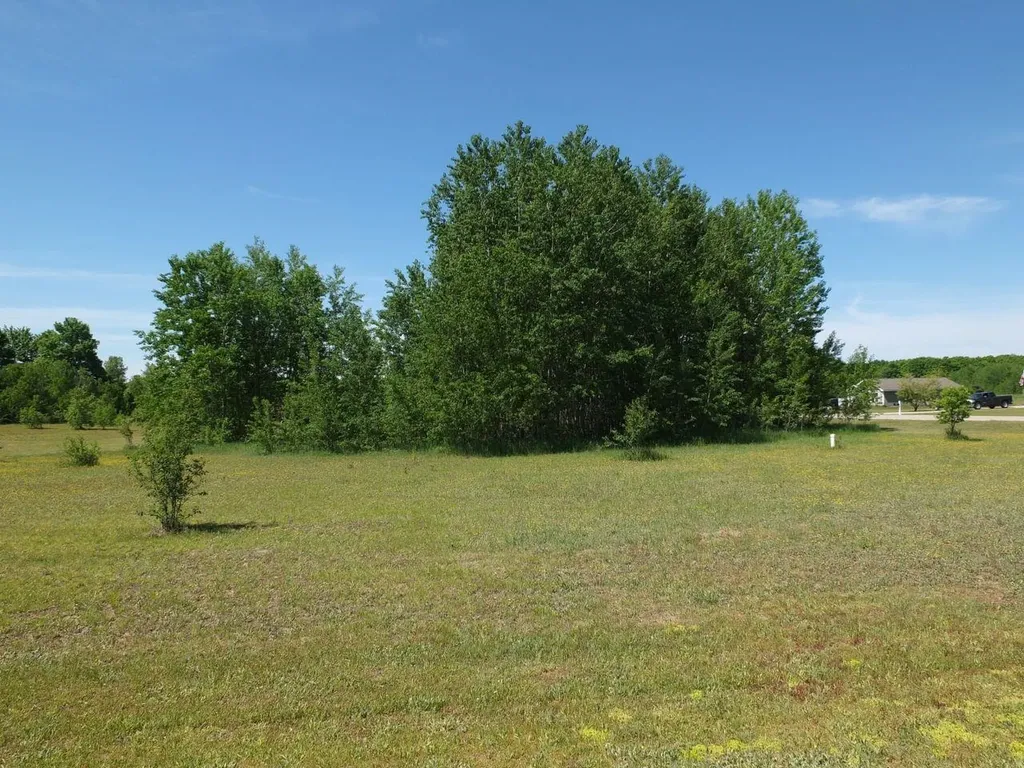 Lot 31 Kingsfield Drive Mayfield Township MI 49649
