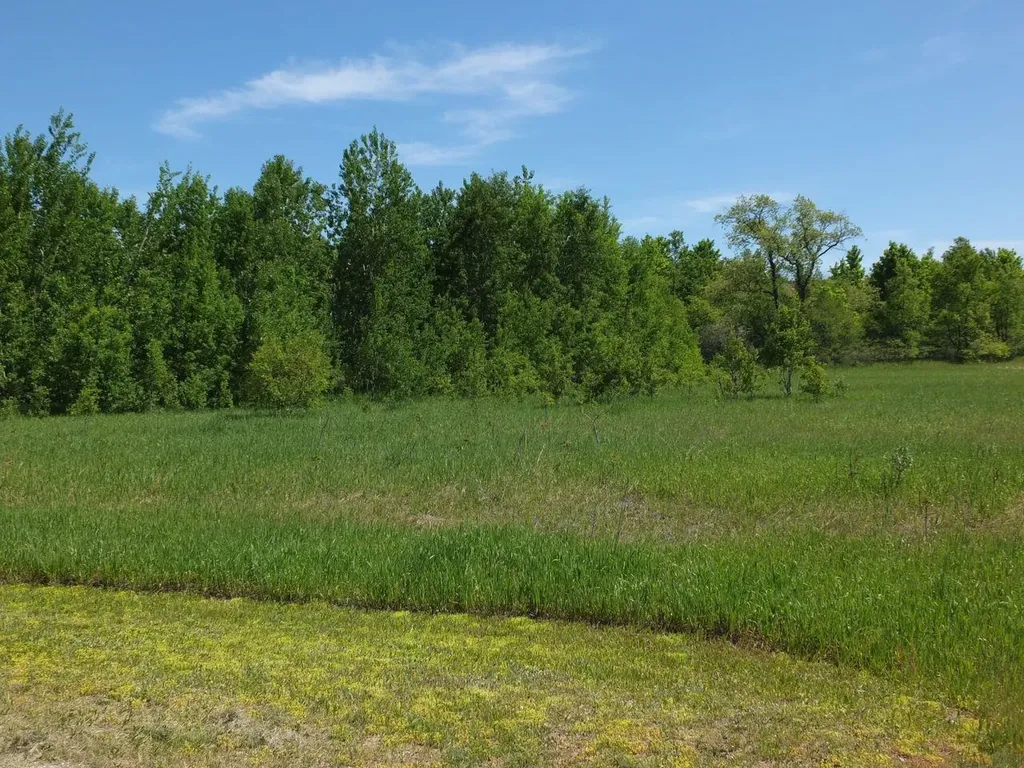 9273 Kingsfield Drive Mayfield Township MI 49649