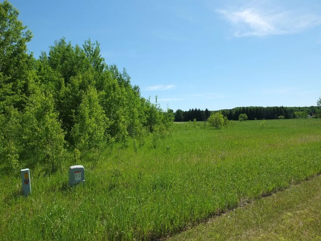 9273 Kingsfield Drive Mayfield Township MI 49649
