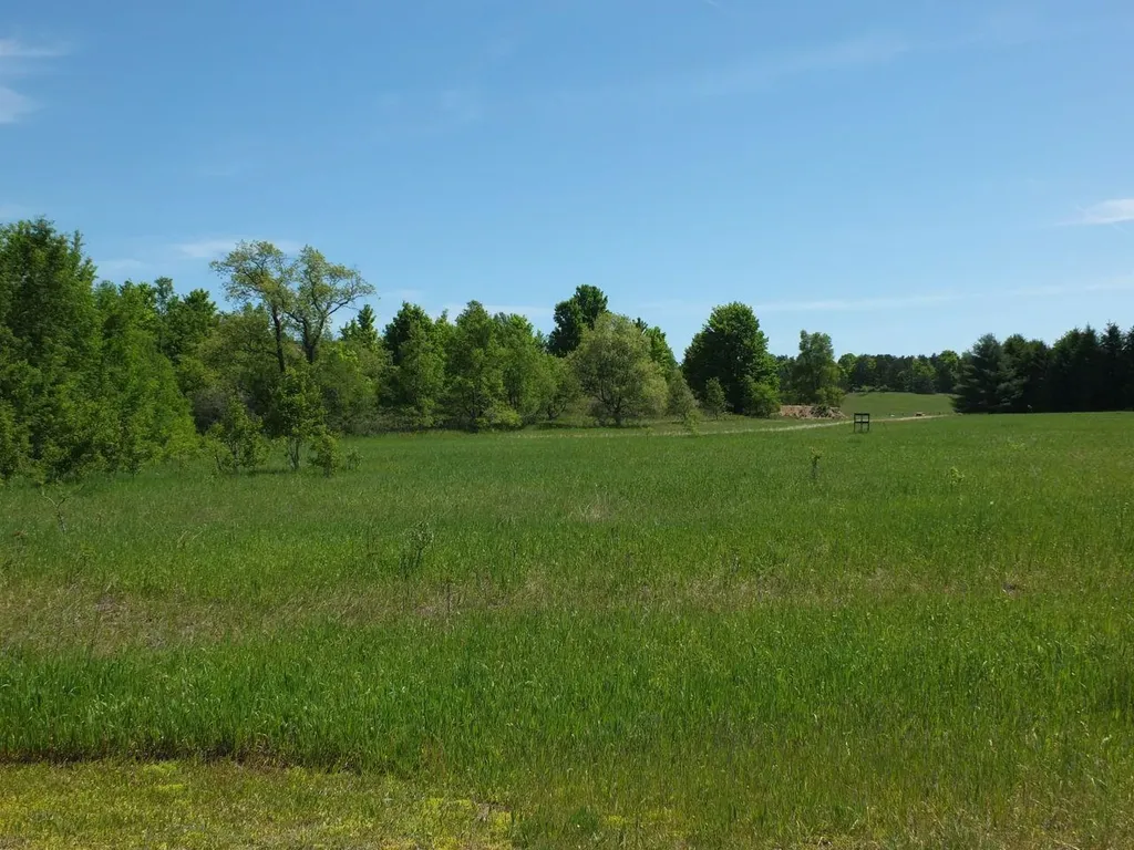 9273 Kingsfield Drive Mayfield Township MI 49649