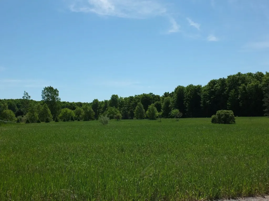 9273 Kingsfield Drive Mayfield Township MI 49649