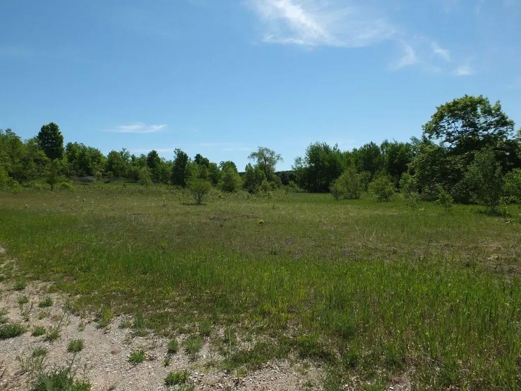 Lot 11 Kingsfield Drive Mayfield Township MI 49649