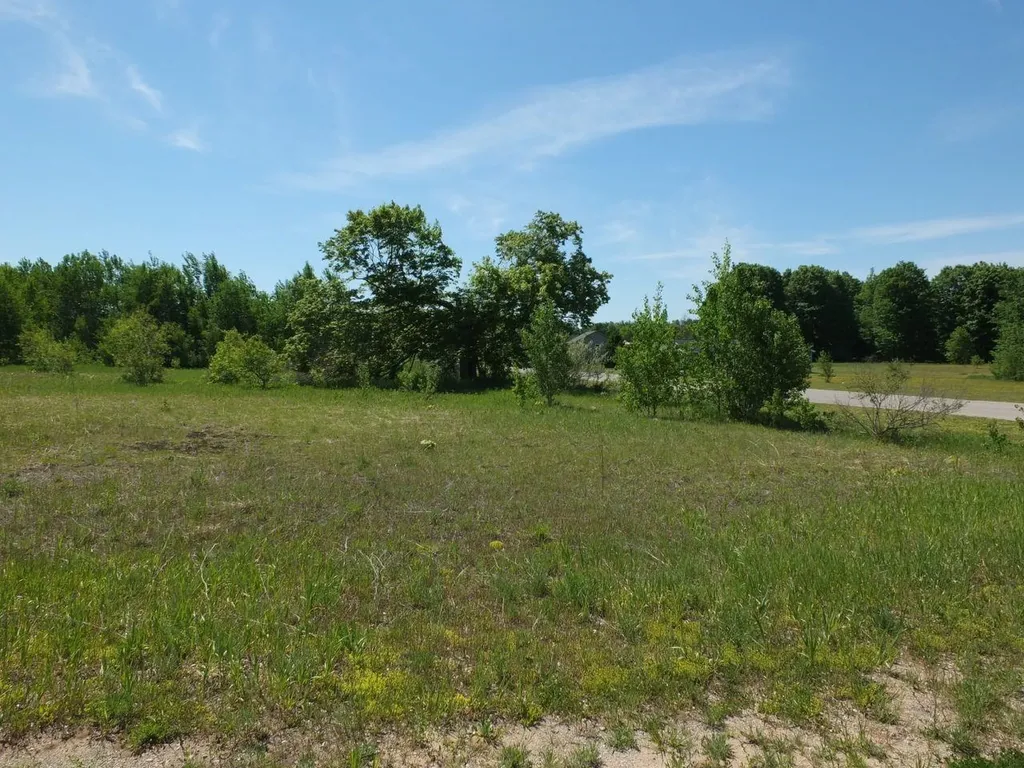 Lot 11 Kingsfield Drive Mayfield Township MI 49649
