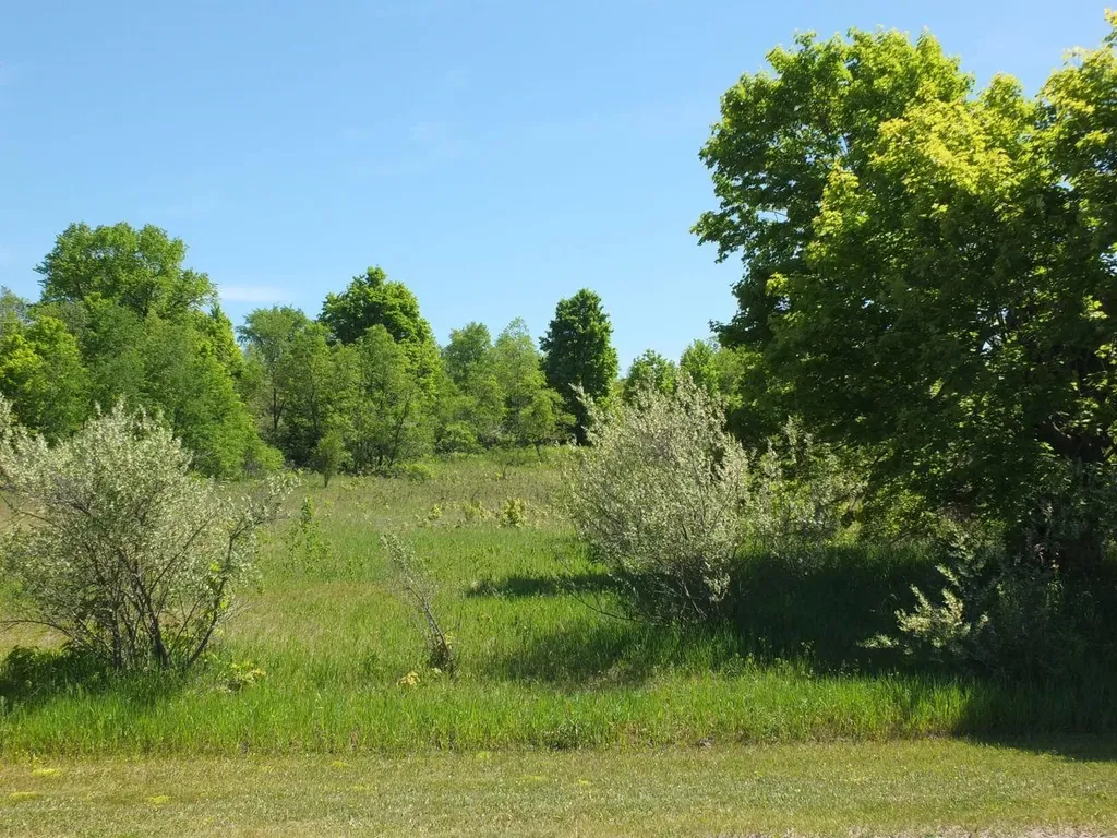 Lot 11 Kingsfield Drive Mayfield Township MI 49649