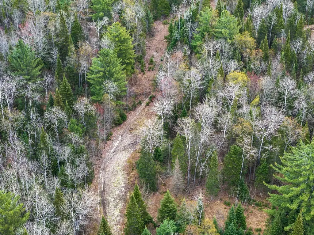 11523 M-66 Garfield Township MI 49633