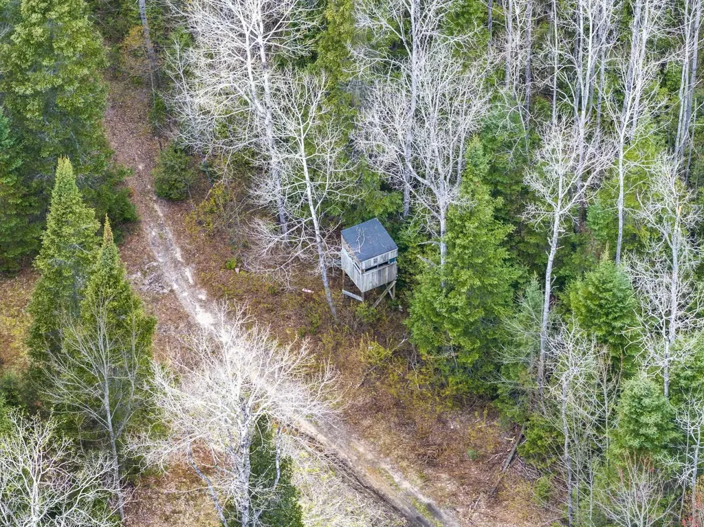 11523 M-66 Garfield Township MI 49633