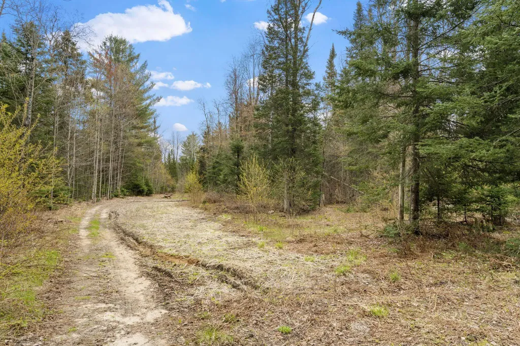 11523 M-66 Garfield Township MI 49633