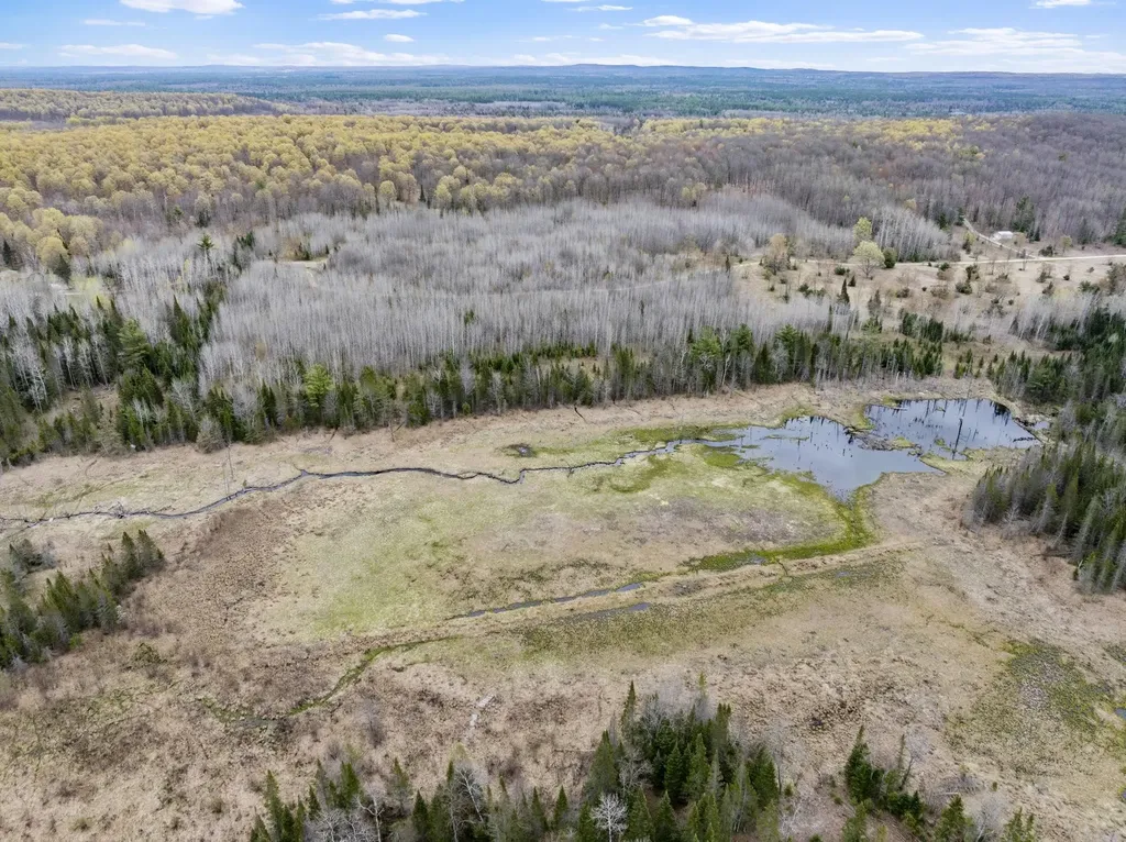 11523 M-66 Garfield Township MI 49633