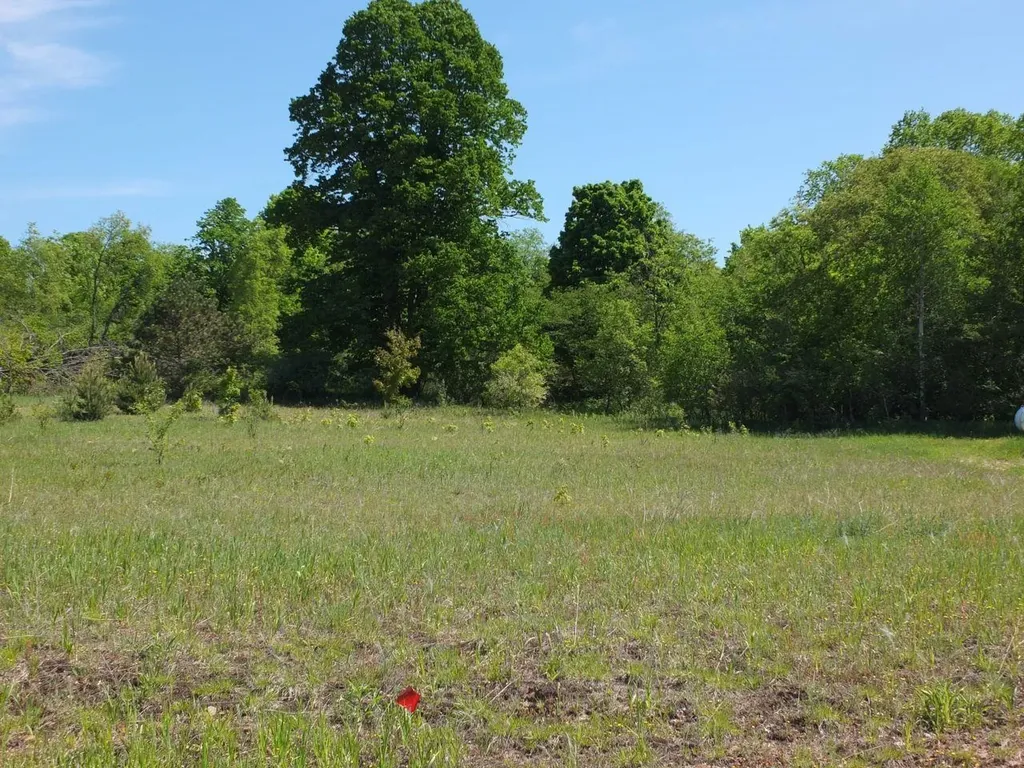 Lot 10 Kingsfield Drive Mayfield Township MI 49649