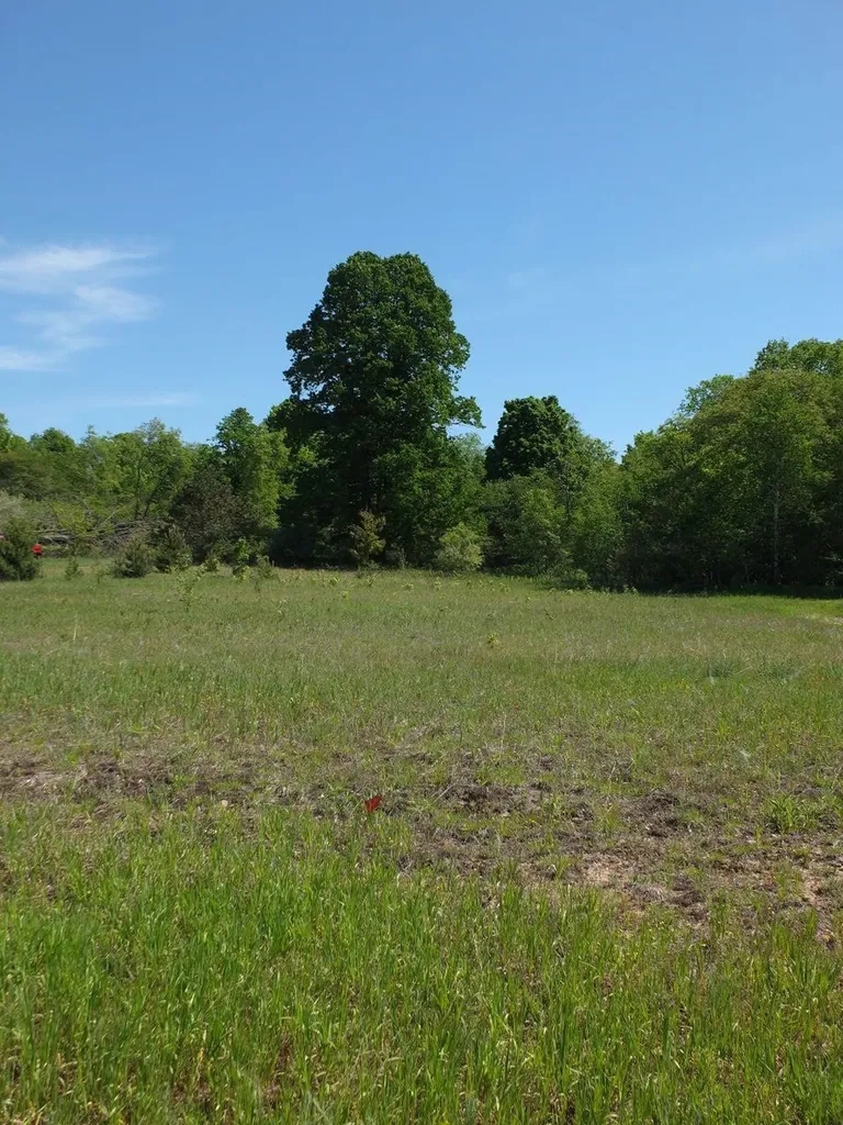 Lot 10 Kingsfield Drive Mayfield Township MI 49649