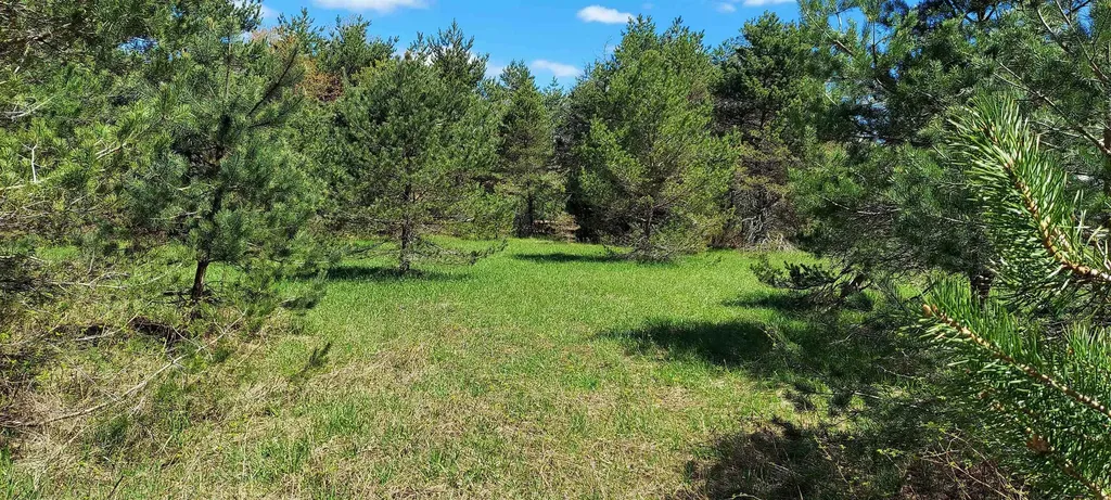 Tbd Johnson Road Custer Township MI 49659