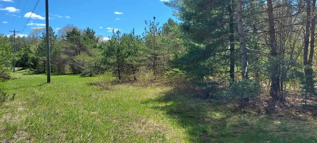 Tbd Johnson Road Custer Township MI 49659