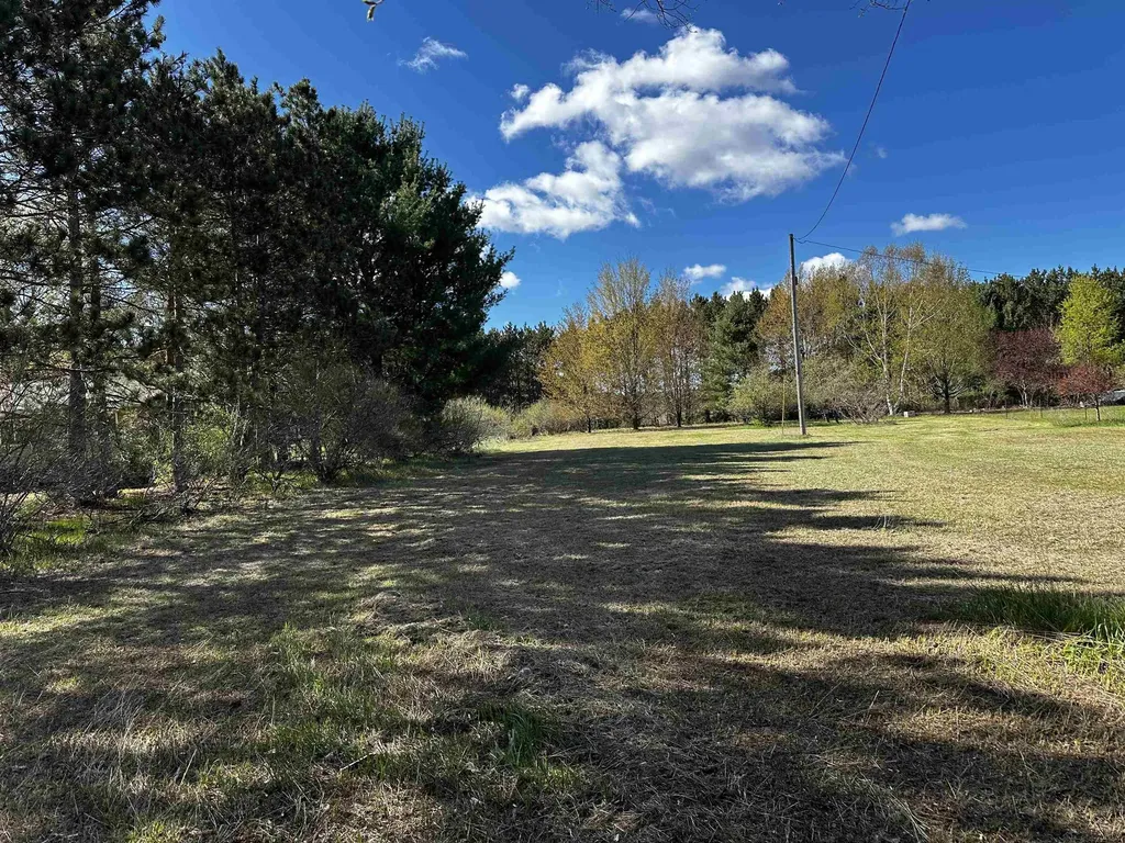 V/l NW Wilhelm Road Clearwater Township MI 49676