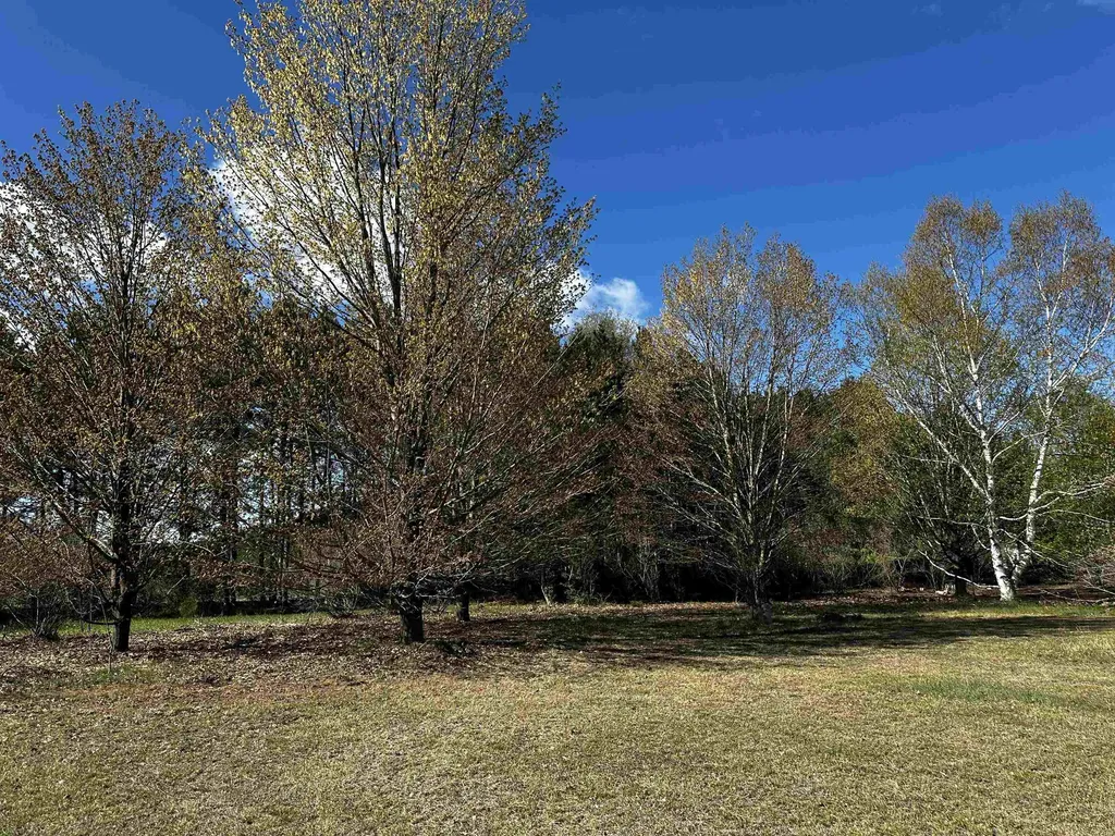 V/l NW Wilhelm Road Clearwater Township MI 49676