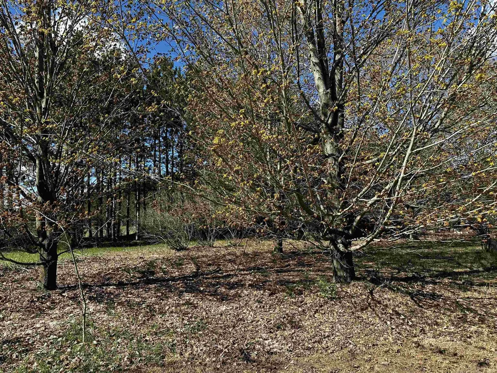 V/l NW Wilhelm Road Clearwater Township MI 49676