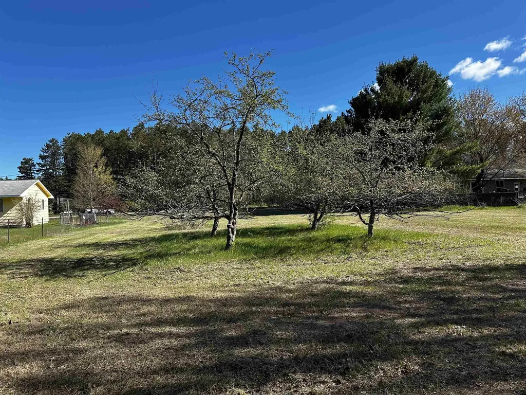 V/l NW Wilhelm Road Clearwater Township MI 49676