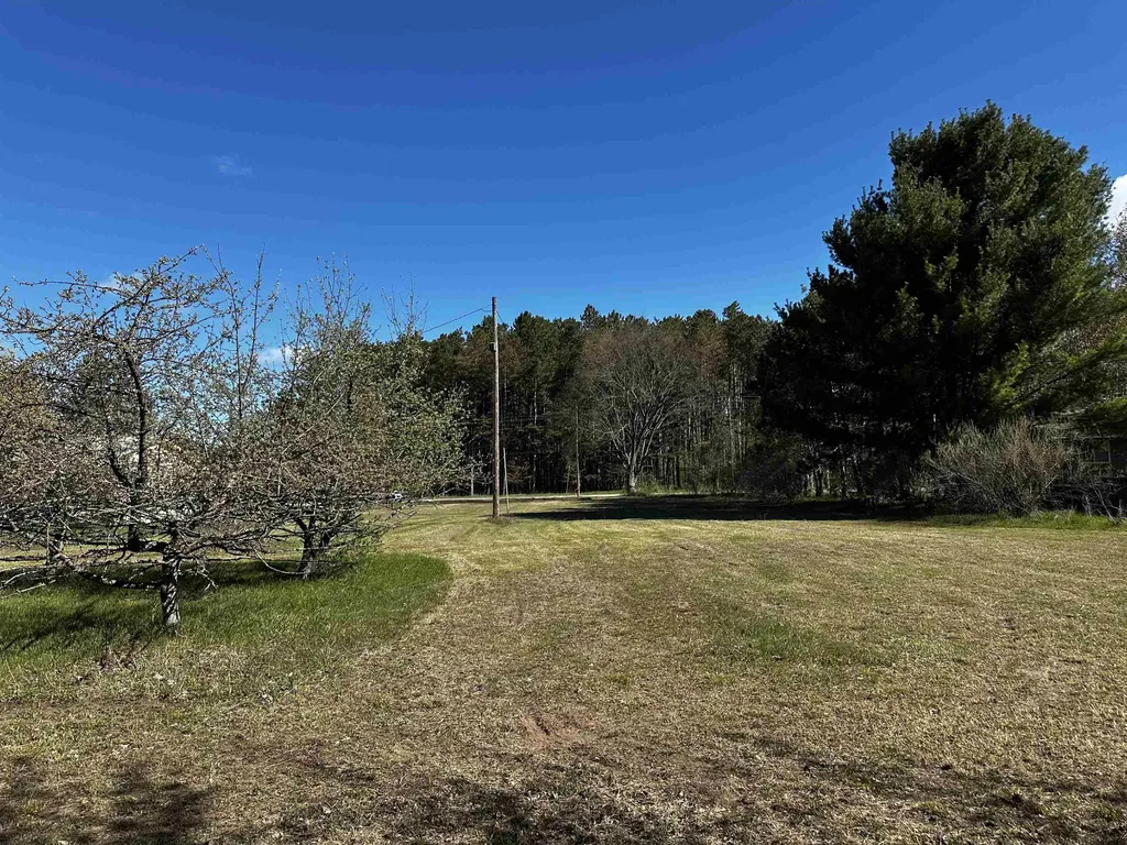 V/l NW Wilhelm Road Clearwater Township MI 49676