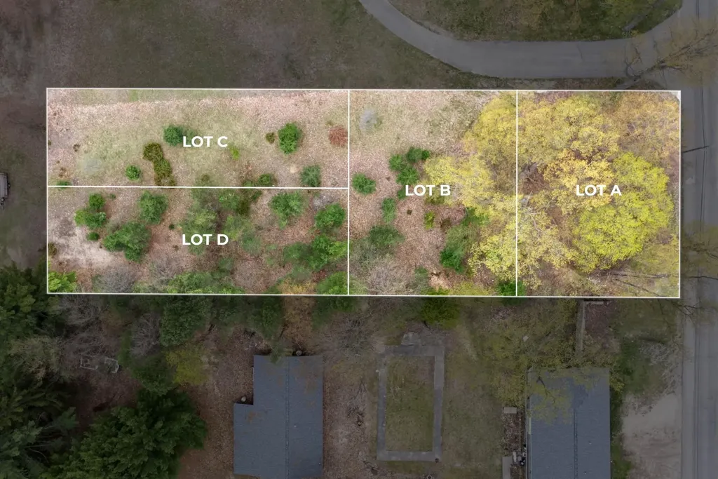 Tbd Lot C W Cayuga Street Forest Home Township MI 49615