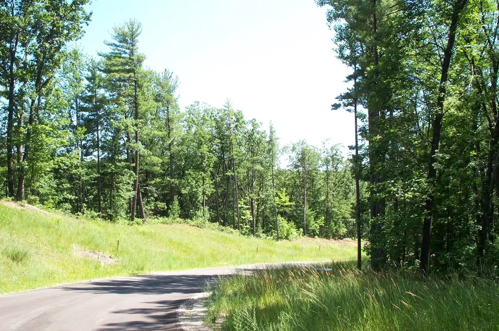 6366 Cedarmere Peninsula Township MI 49686