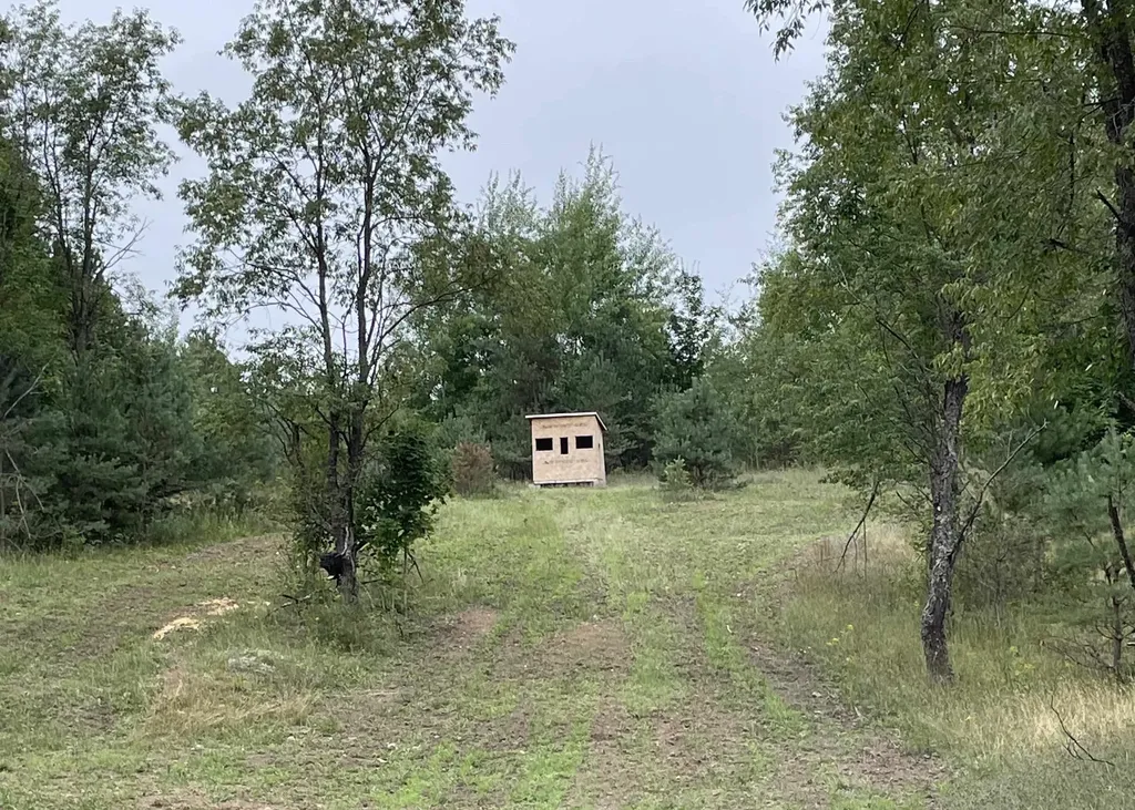 00 V/l Peterson Road Custer Township MI 49659