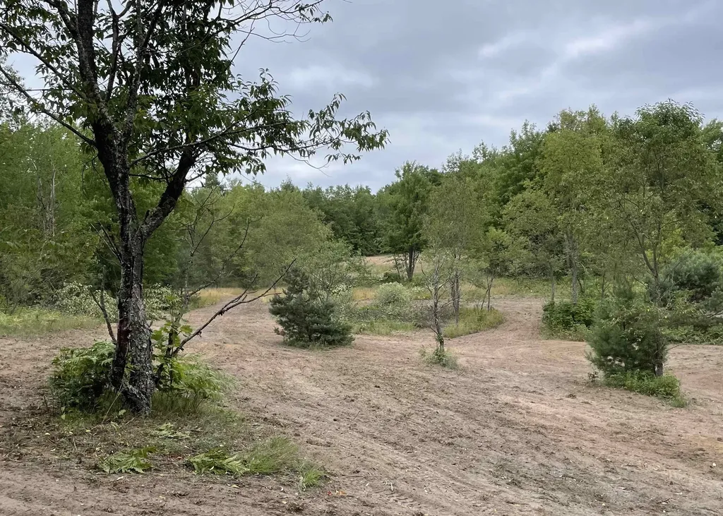 00 V/l Peterson Road Custer Township MI 49659