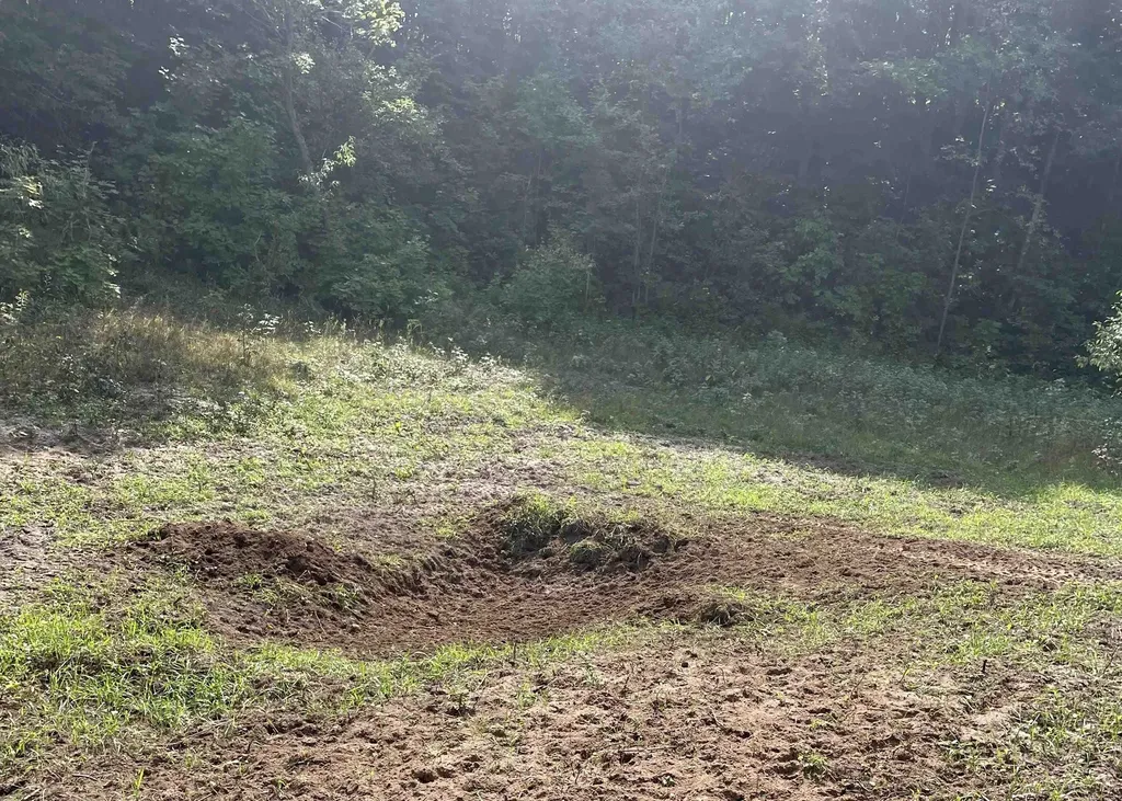 00 V/l Peterson Road Custer Township MI 49659